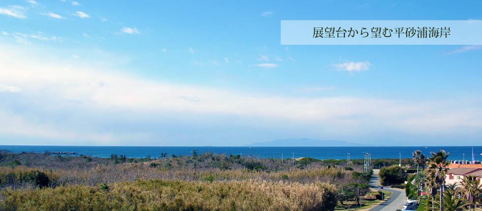 展望台から望む平砂浦海岸